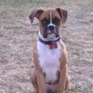 Meet your Posher, Richard